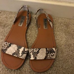 STEVE MADDEN ‘Alina’ snake skin sandal